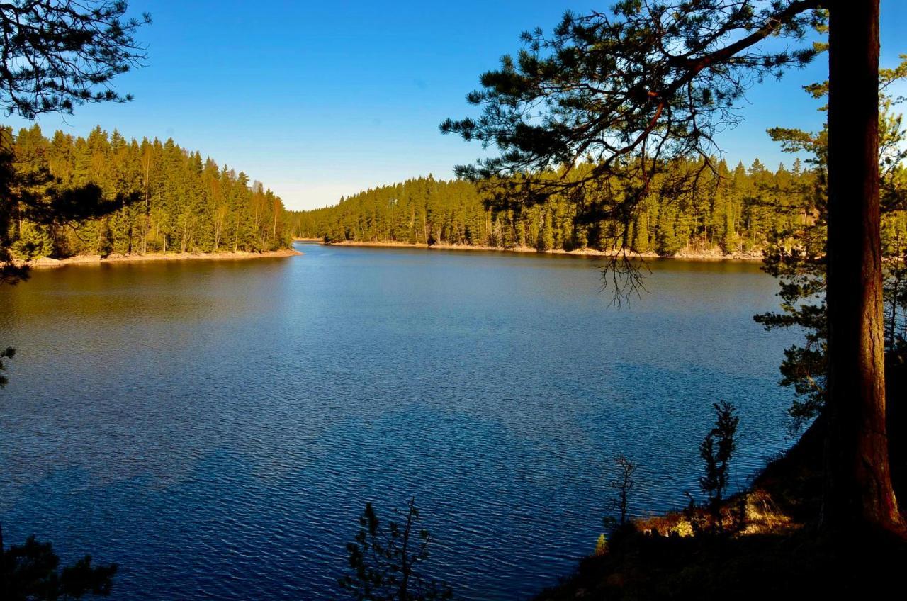 Lake And Forest Hideaway Årjäng Exteriér fotografie